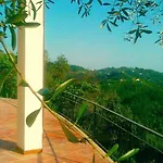 Agriturismo Oliva Azzurra Valeriano Lunense
