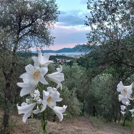 Agriturismo Oliva Azzurra Bauernhof *