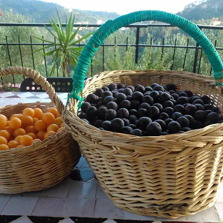 Bauernhof Agriturismo Oliva Azzurra Valeriano Lunense