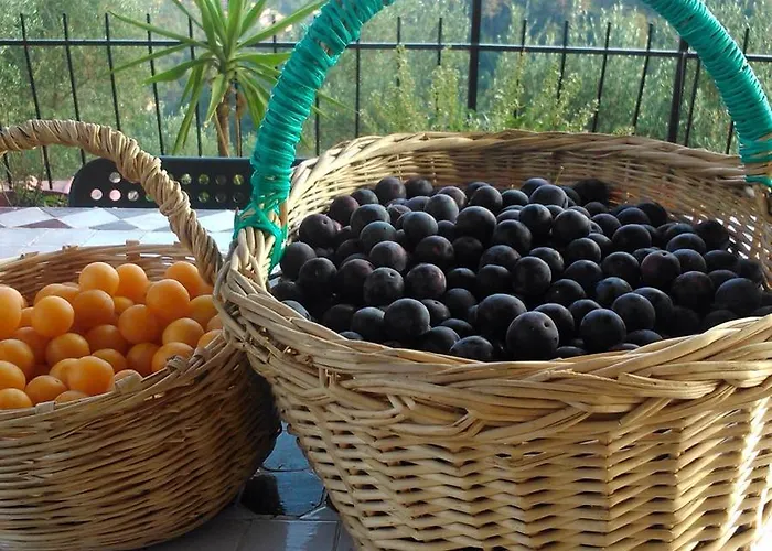 Lantgård Agriturismo Oliva Azzurra Valeriano Lunense