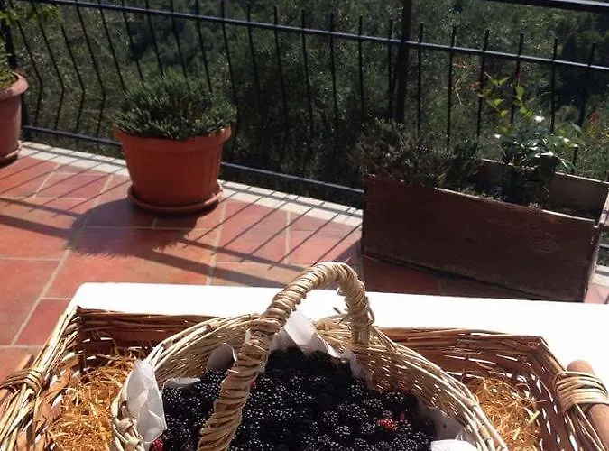 Lantgård Agriturismo Oliva Azzurra