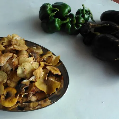 Agriturismo Oliva Azzurra