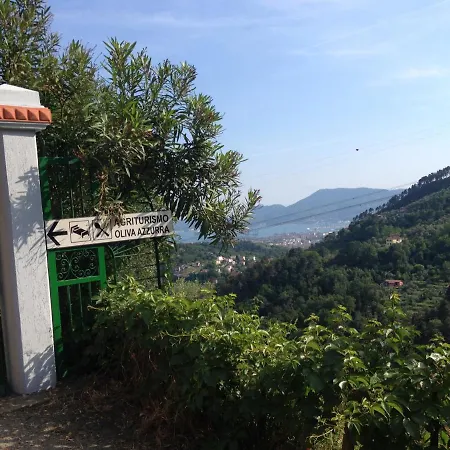 Agriturismo Oliva Azzurra Valeriano Lunense