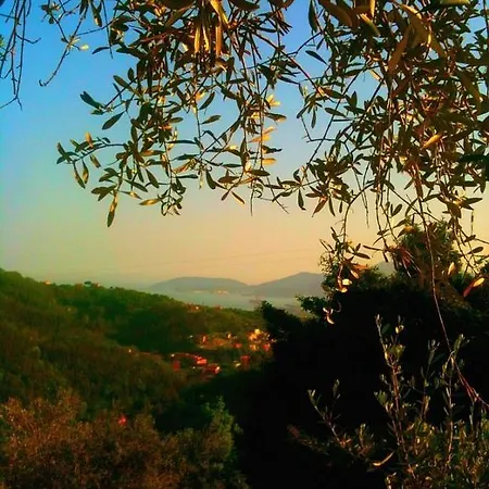 Farm stay Agriturismo Oliva Azzurra