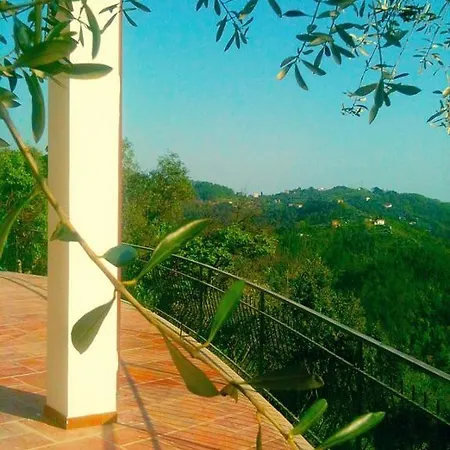 Agriturismo Oliva Azzurra Valeriano Lunense