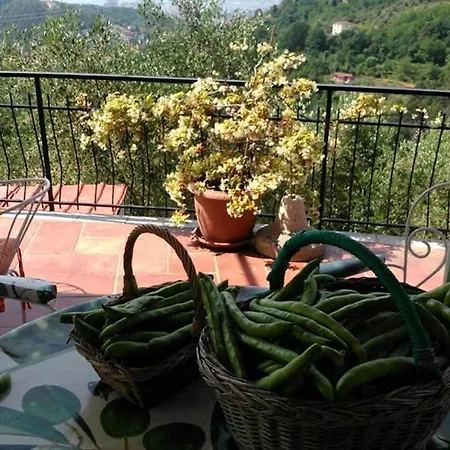 Agriturismo Oliva Azzurra