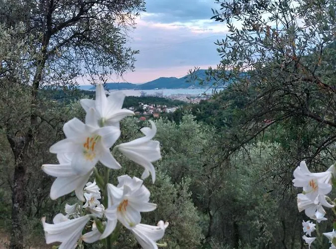 Agriturismo Oliva Azzurra Feriegård *