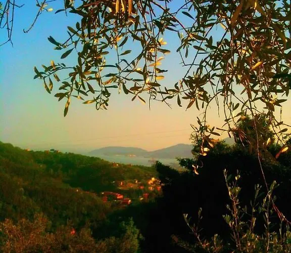 Feriegård Agriturismo Oliva Azzurra