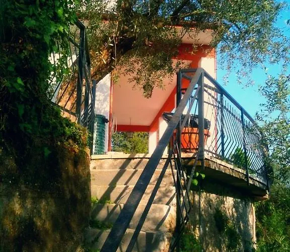 Agriturismo Oliva Azzurra