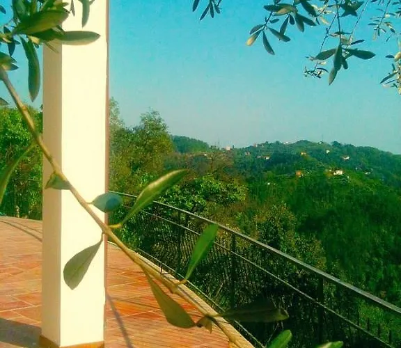 Agriturismo Oliva Azzurra Valeriano Lunense
