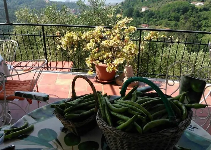Agriturismo Oliva Azzurra